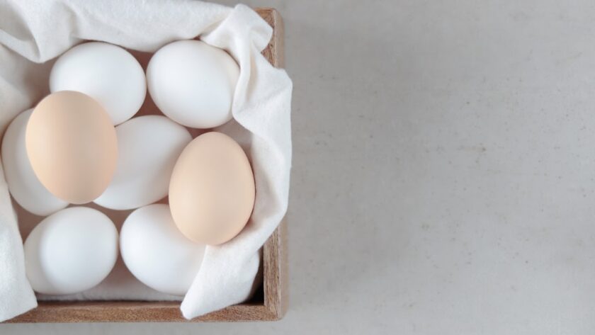 découvrez des recettes faciles et délicieuses pour régaler vos proches en un rien de temps. parfaites pour les débutants comme pour les cuisiniers expérimentés, ces recettes simplifient la préparation de vos plats préférés.