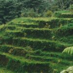 découvrez les bienfaits du refroidissement naturel, une méthode écologique et efficace pour réguler la température de votre espace tout en préservant l'environnement. apprenez à maîtriser les techniques de ventilation, d'ombrage et d'isolation pour profiter d'un confort thermique durable.