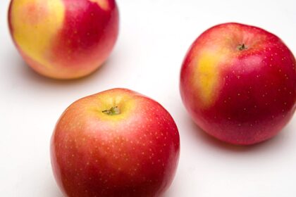 découvrez les bienfaits de la vinaigre de cidre de pomme, un remède naturel prisé pour sa capacité à améliorer la digestion, favoriser la perte de poids et renforcer le système immunitaire. apprenez comment l'intégrer facilement dans votre alimentation quotidienne.