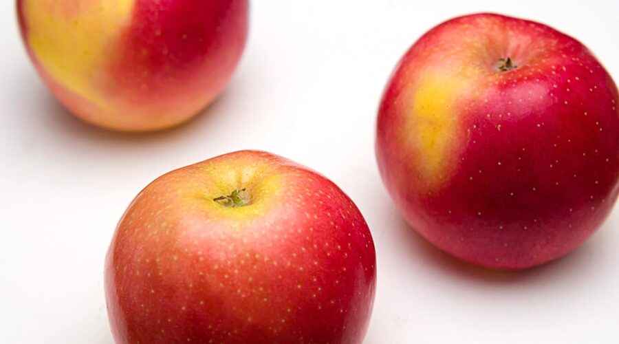 découvrez les bienfaits de la vinaigre de cidre de pomme, un remède naturel prisé pour sa capacité à améliorer la digestion, favoriser la perte de poids et renforcer le système immunitaire. apprenez comment l'intégrer facilement dans votre alimentation quotidienne.