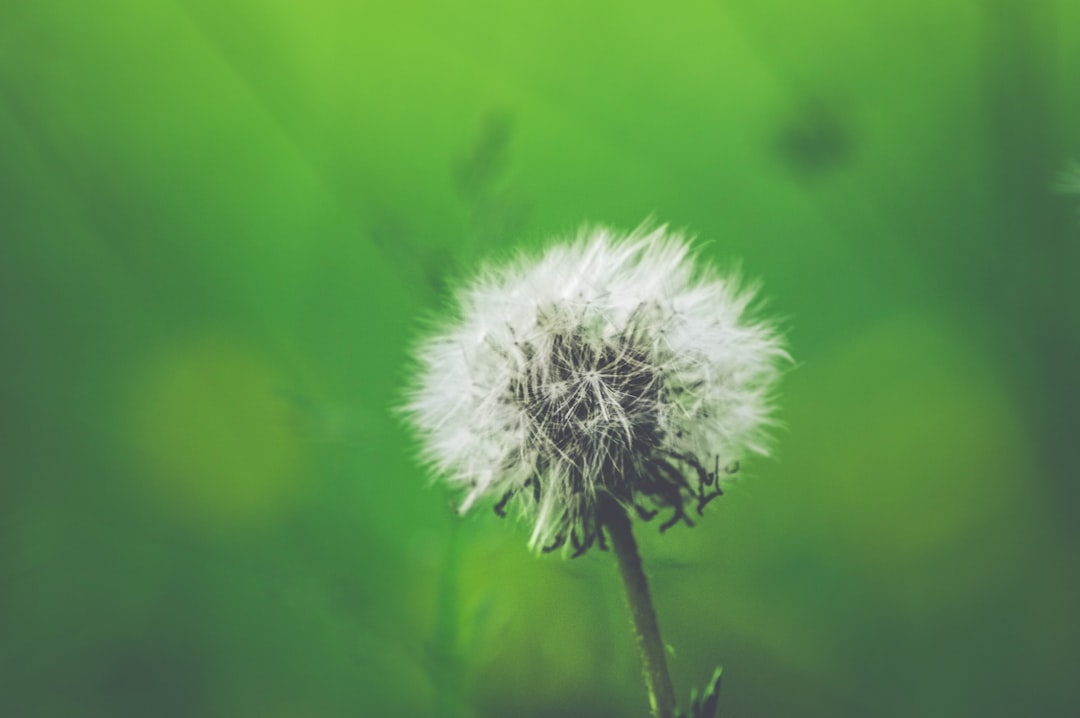 découvrez tout sur les allergies : leurs causes, symptômes et traitements. apprenez à les gérer au quotidien pour améliorer votre qualité de vie.