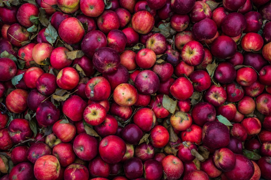 découvrez les bienfaits incroyables du vinaigre de cidre de pomme, un remède naturel prisé pour ses propriétés détoxifiantes, ses avantages pour la digestion et son utilisation en cuisine. transformez votre santé et votre bien-être avec ce super-aliment polyvalent.