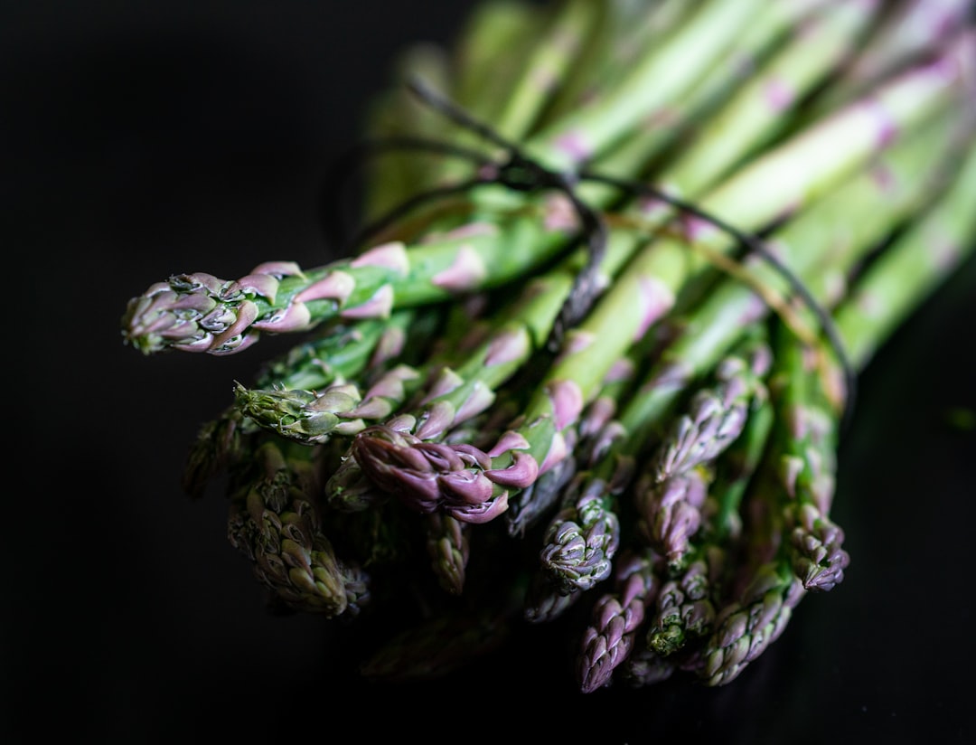 découvrez les multiples bienfaits de l'asperge, un légume délicat et savoureux riche en nutriments. apprenez comment l'intégrer facilement dans vos repas pour une cuisine saine et gourmande.