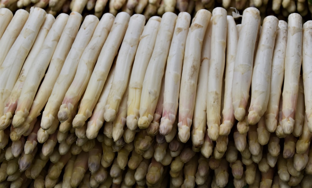 découvrez tout sur les asperges : bienfaits pour la santé, recettes savoureuses et conseils de culture. apprenez à savourer ce légume délicat et plein de saveurs!