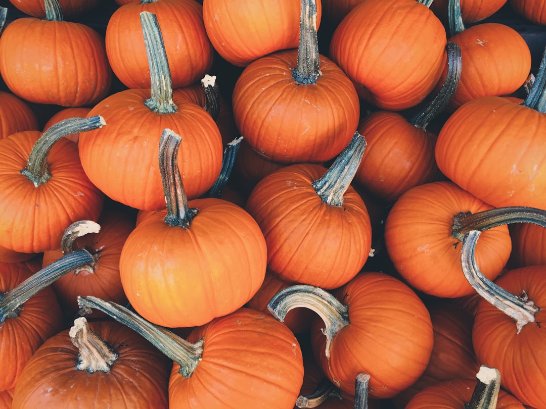 découvrez de délicieuses recettes d'automne qui mettent en valeur les saveurs réconfortantes de la saison. des plats chauds et gourmands, parfaits pour les soirées fraîches, à base de produits de saison comme les courges, les pommes et les épices. idéal pour régaler vos proches !