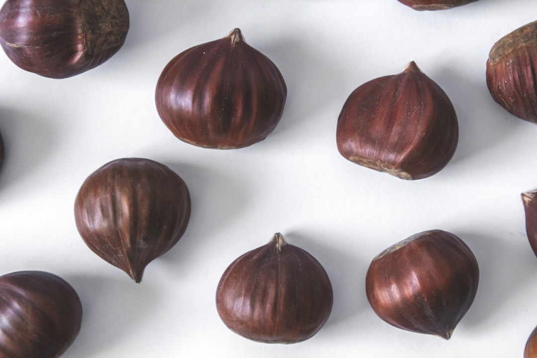 découvrez l'univers des châtaignes : bienfaits nutritionnels, recettes savoureuses et conseils de préparation. apprenez à savourer ces délicieuses noix sous toutes leurs formes !
