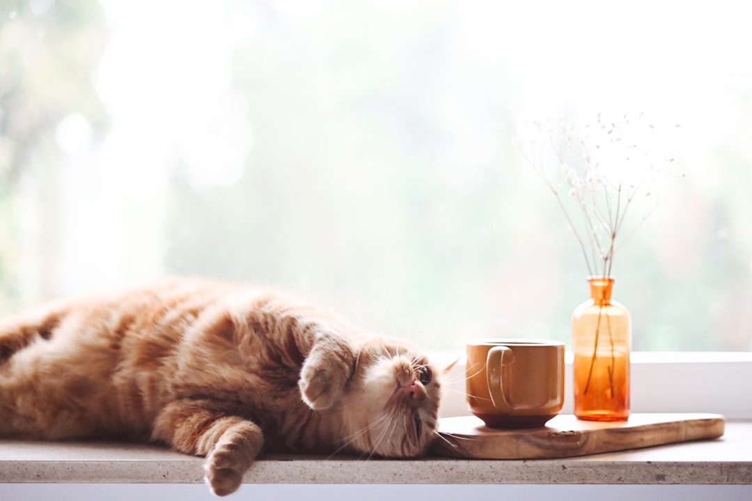 découvrez des astuces et des conseils pour améliorer votre confort digestif au quotidien. apprenez à mieux choisir vos aliments et à adopter des habitudes saines pour favoriser une digestion harmonieuse.
