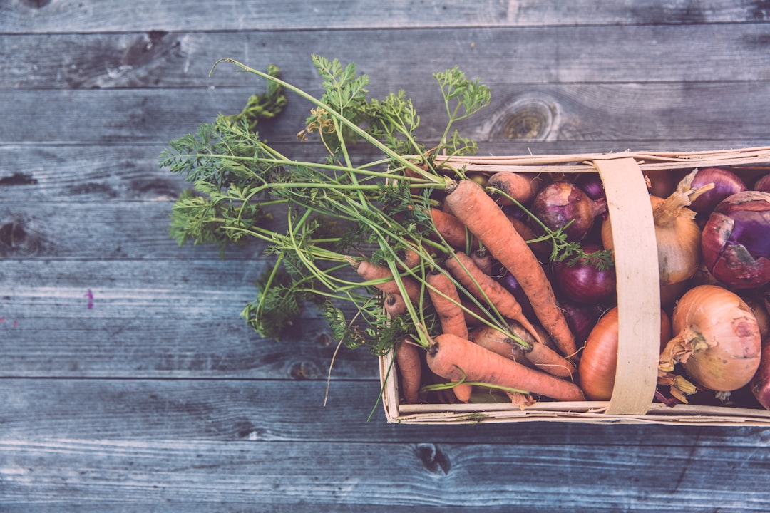 découvrez des conseils pratiques pour un jardinage éco-responsable. adoptez des techniques durables pour cultiver vos plantes tout en préservant l'environnement. transformez votre jardin en un havre de biodiversité !