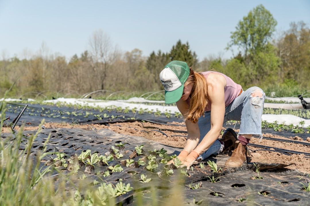 découvrez des conseils pratiques pour un jardinage écologique ! apprenez à cultiver votre jardin de manière durable avec des astuces pour préserver l'environnement tout en profitant de la beauté de la nature.