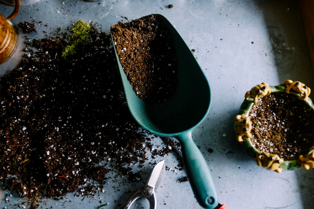 découvrez des conseils pratiques et respectueux de l'environnement pour un jardinage éco-responsable. apprenez à cultiver votre jardin tout en préservant la biodiversité et en réduisant votre impact écologique.