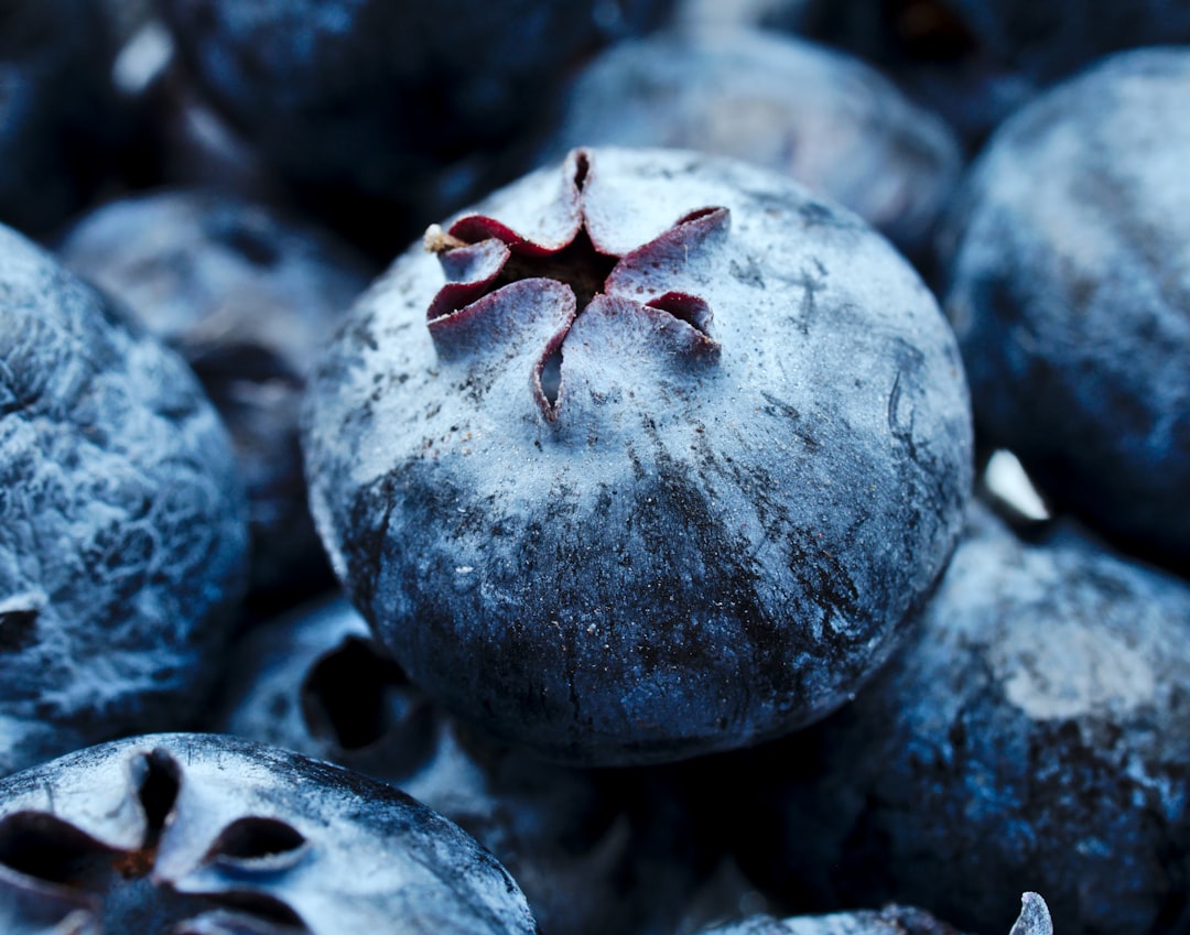découvrez les fleurs comestibles, un ingrédient original pour rehausser vos plats et apporter une touche de couleur à vos créations culinaires. apprenez à les sélectionner, à les utiliser et à bénéficier de leurs saveurs uniques.