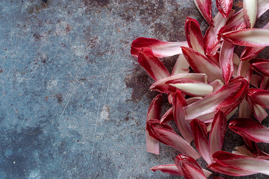 découvrez tout ce que vous devez savoir sur les endives : leurs bienfaits nutritionnels, des recettes savoureuses et des astuces de préparation pour profiter pleinement de ce légume aussi croquant que délicieux.