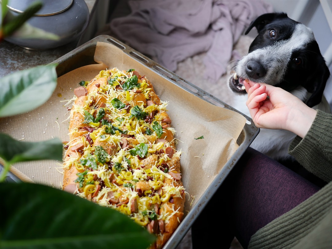 découvrez la recette de la focaccia, ce pain italien moelleux et aromatique, parfait pour accompagner vos repas ou en apéritif. apprenez à préparer cette délicieuse spécialité avec des herbes fraîches et des ingrédients simples, pour un goût authentique qui ravira vos invités.