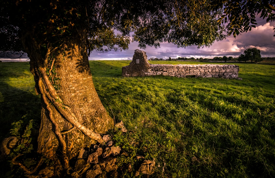 découvrez l'univers riche et captivant du folklore, où légendes, traditions et récits populaires se mêlent pour tisser l'identité culturelle des peuples. plongez dans un monde de mythes et de contes fascinants qui traversent les âges.