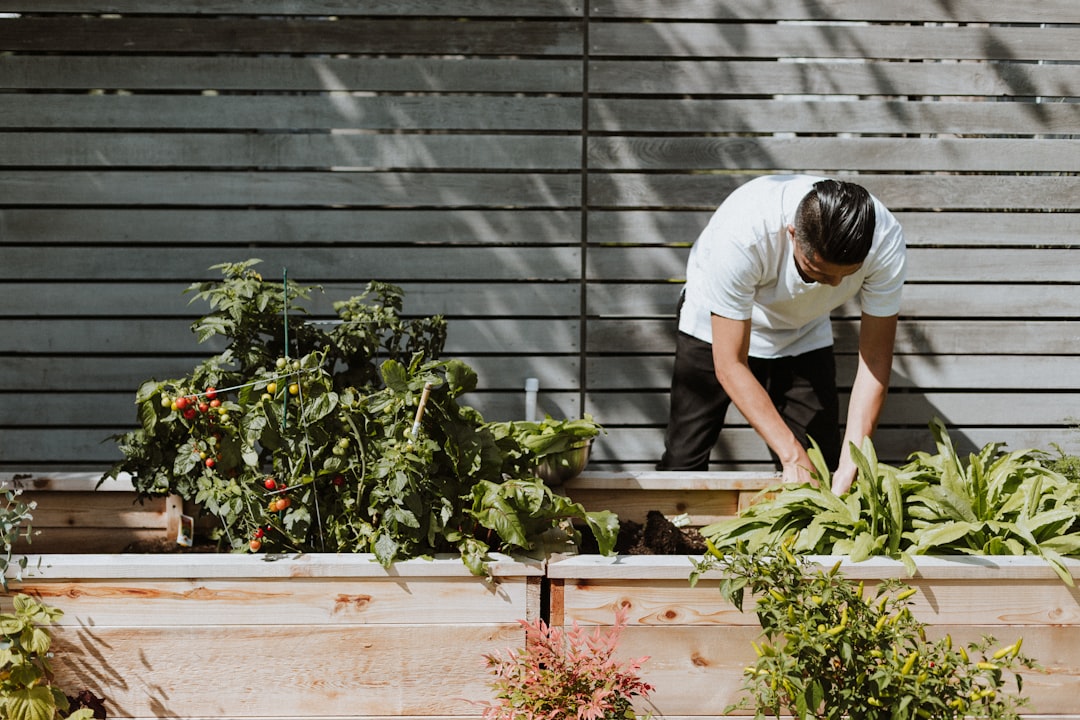 découvrez l'art du jardinage avec nos conseils pratiques, astuces et techniques pour cultiver vos plantes préférées. que vous soyez débutant ou expert, trouvez l'inspiration pour créer un jardin florissant et durable.