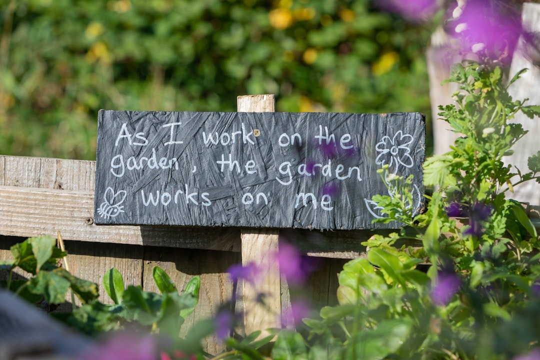 découvrez l'art du jardinage : conseils pratiques, astuces de culture et idées pour créer un jardin florissant, que vous soyez débutant ou expert.