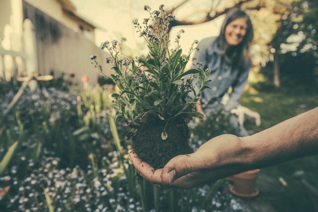 découvrez l'art du jardinage avec nos conseils pratiques, techniques de culture et idées inspirantes pour embellir votre espace extérieur. que vous soyez débutant ou jardinier confirmé, trouvez des astuces pour réussir vos plantations et profiter d'un jardin florissant tout au long de l'année.