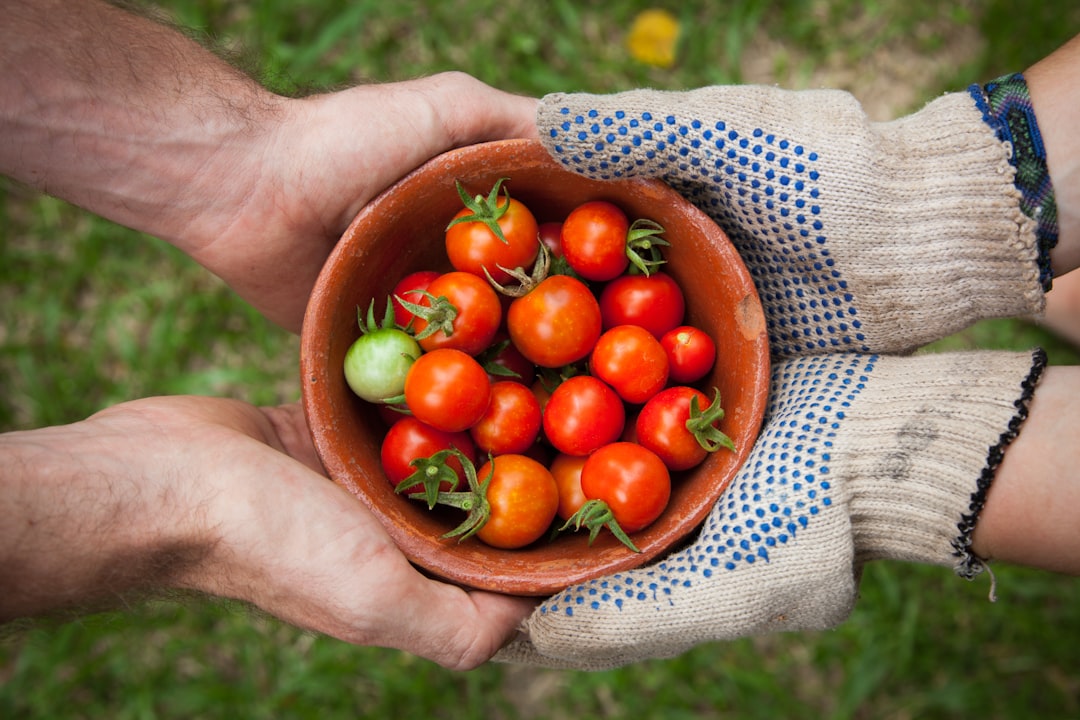 découvrez l'univers du jardinage avec nos conseils pratiques, astuces de plantation et techniques d'entretien pour créer un jardin florissant et durable. que vous soyez débutant ou jardinier confirmé, trouvez l'inspiration pour embellir votre espace vert.