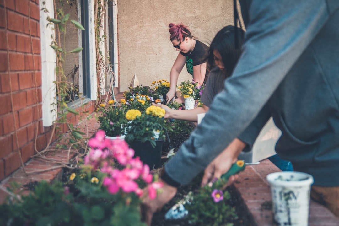 découvrez l'art du jardinage avec nos conseils pratiques, techniques et astuces pour cultiver votre propre oasis de verdure. que vous soyez débutant ou jardinier expérimenté, apprenez à faire prospérer vos plantes, légumes et fleurs avec passion.