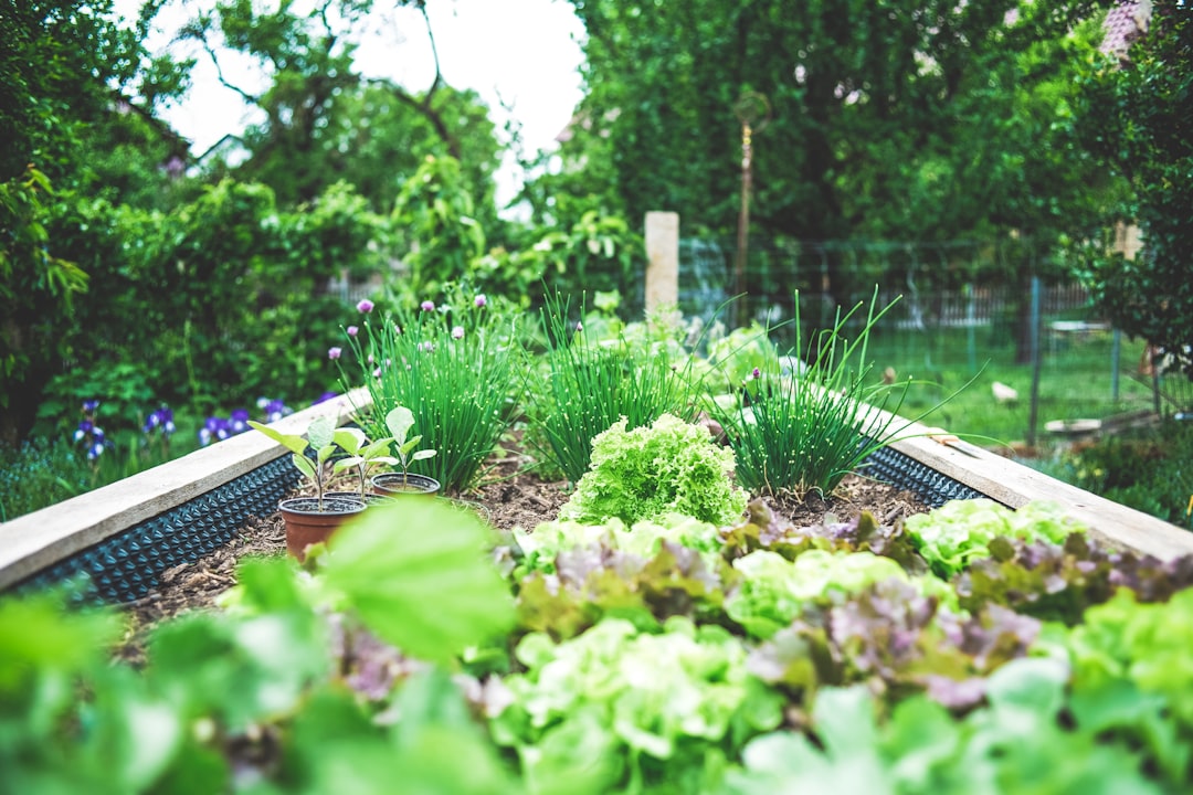 découvrez le jardinage : conseils pratiques, astuces pour cultiver vos plantes et créer un espace vert épanouissant. apprenez à entretenir votre jardin et à profiter de la nature.