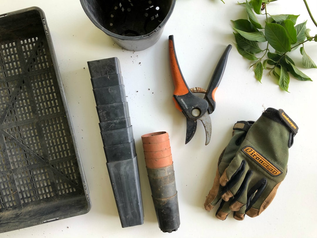 découvrez l'art du jardinage avec nos astuces et conseils pratiques. apprenez à cultiver vos plantes, fleurs et légumes comme un professionnel et transformez votre jardin en un véritable havre de paix. que vous soyez débutant ou expert, trouvez l'inspiration pour créer un espace extérieur épanouissant.