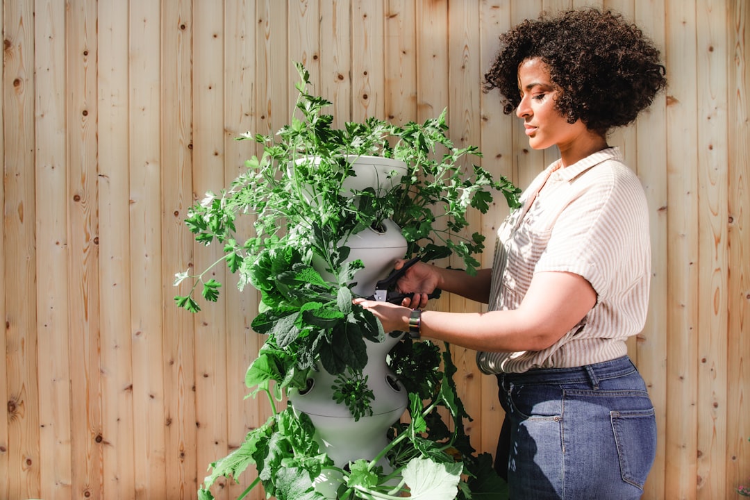 découvrez l'art du jardinage avec nos conseils pratiques et astuces pour cultiver votre propre jardin. que vous soyez débutant ou expert, explorez nos guides sur les plantes, les techniques de culture et l'aménagement paysager pour transformer votre espace extérieur.