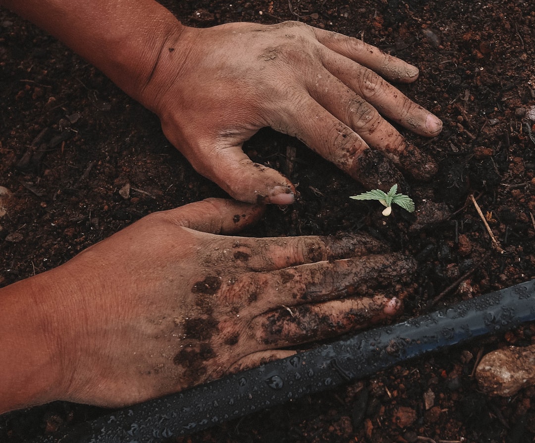 découvrez l'art du jardinage avec nos conseils pratiques, astuces de professionnels et idées inspirantes pour créer un espace vert épanouissant. que vous soyez un novice ou un jardinier expérimenté, explorez nos ressources pour cultiver un jardin luxuriant et durable.