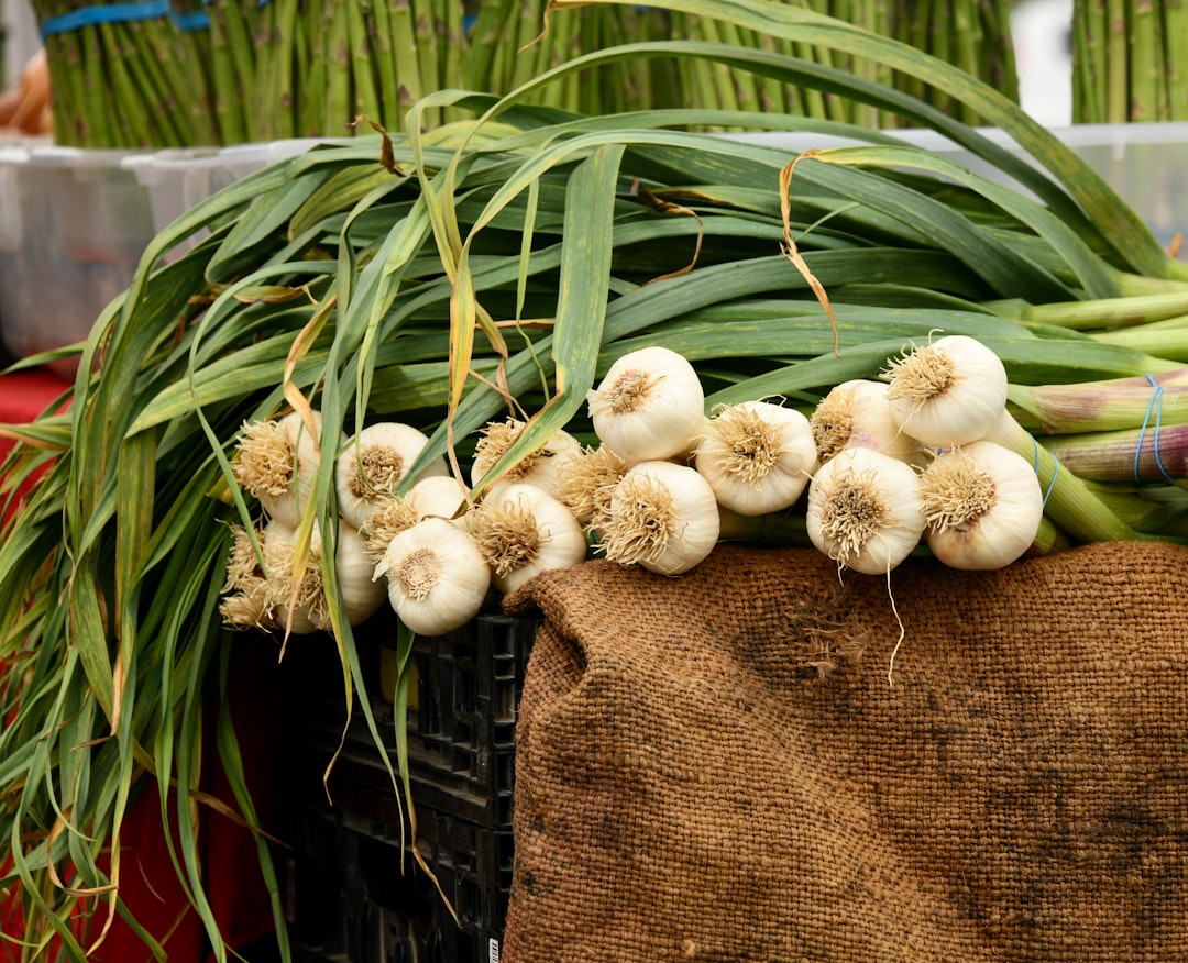 découvrez les bienfaits de l'ail, un ingrédient essentiel en cuisine et un remède naturel aux multiples vertus. apprenez à l'utiliser pour rehausser vos plats tout en profitant de ses propriétés antifongiques et antibactériennes. variez vos recettes avec l'ail et boostez votre santé naturellement.