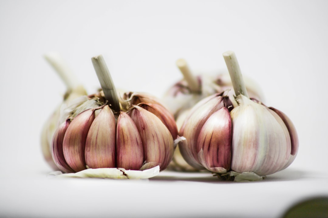 découvrez les bienfaits de l'ail, un ingrédient aux multiples vertus pour la santé et la cuisine. apprenez à l'utiliser dans vos recettes et ses propriétés médicinales.