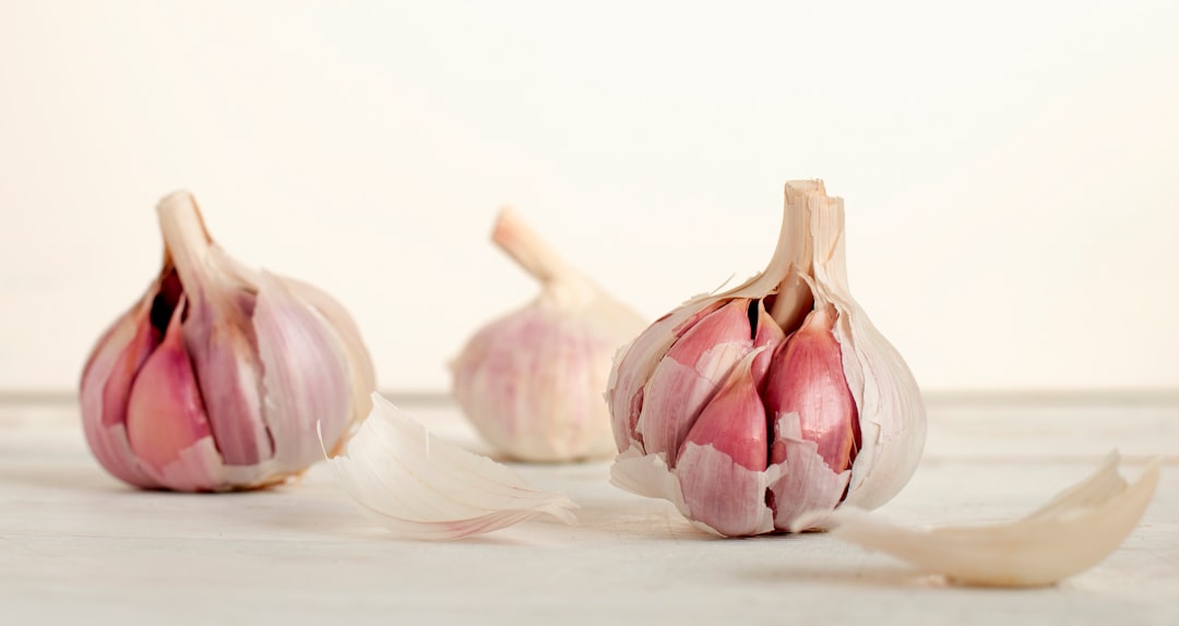 découvrez les bienfaits de l'ail, un condiment incontournable de la cuisine française. apprenez à l'utiliser dans vos plats pour ajouter saveur et santé, ainsi que ses propriétés médicinales étonnantes.