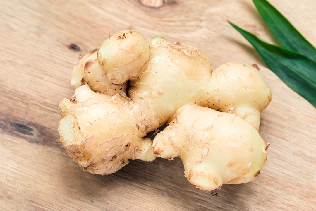 découvrez les bienfaits du gingembre, un super-aliment aux propriétés anti-inflammatoires et antioxydantes. apprenez comment l'intégrer dans votre alimentation pour booster votre santé et votre bien-être.