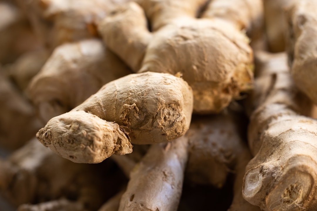 découvrez les bienfaits et l'utilisation du gingembre, une épice aux nombreuses vertus médicinales et culinaires. apprenez comment intégrer le gingembre dans votre alimentation pour booster votre santé et rehausser vos plats.