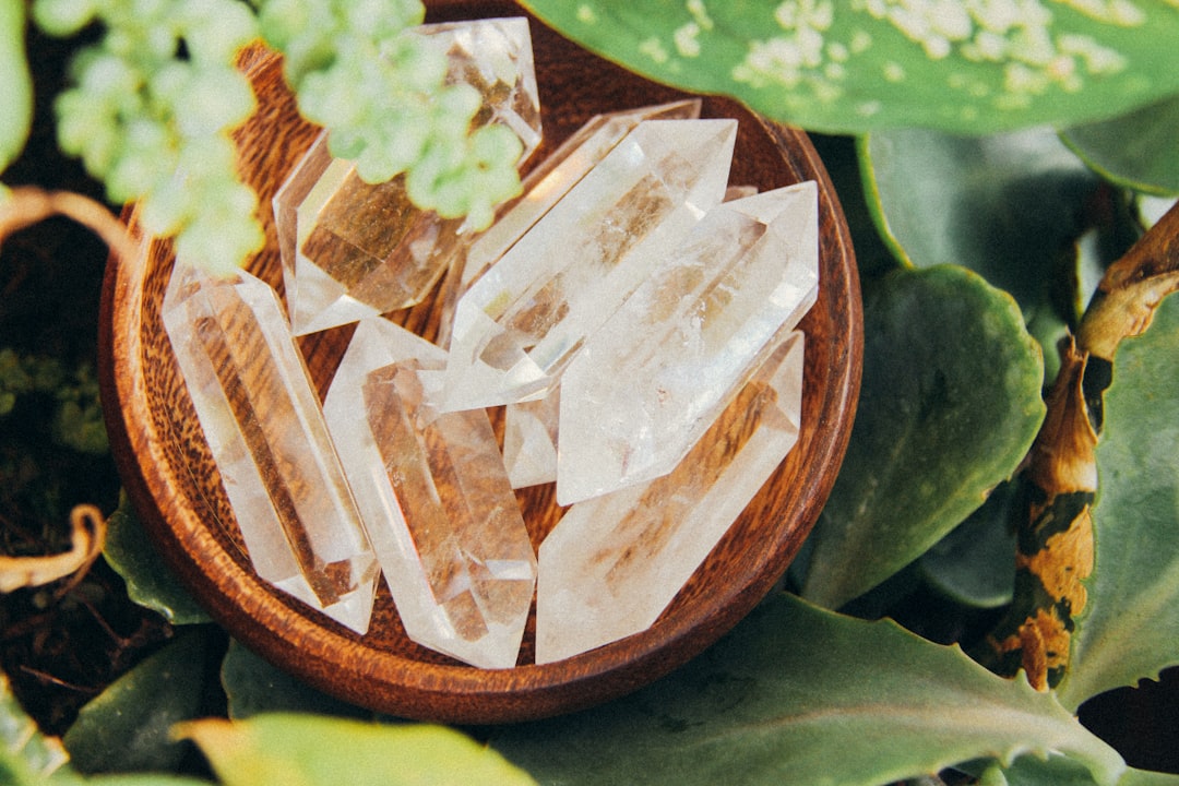 découvrez le pouvoir de la guérison naturelle et du bien-être holistique. explorez des techniques variées pour restaurer votre équilibre corpo-mental, améliorer votre santé et favoriser la sérénité intérieure grâce à des approches éprouvées.