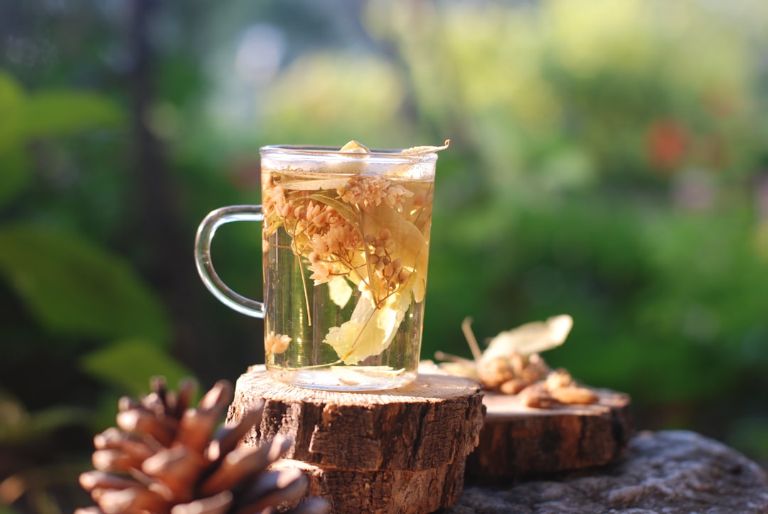 découvrez les bienfaits des tisanes dans notre sélection de thés aux herbes. profitez d'infusions naturelles qui apaisent, revitalisent et nourrissent votre corps. explorez des saveurs uniques et des mélanges relaxants pour un moment de bien-être.