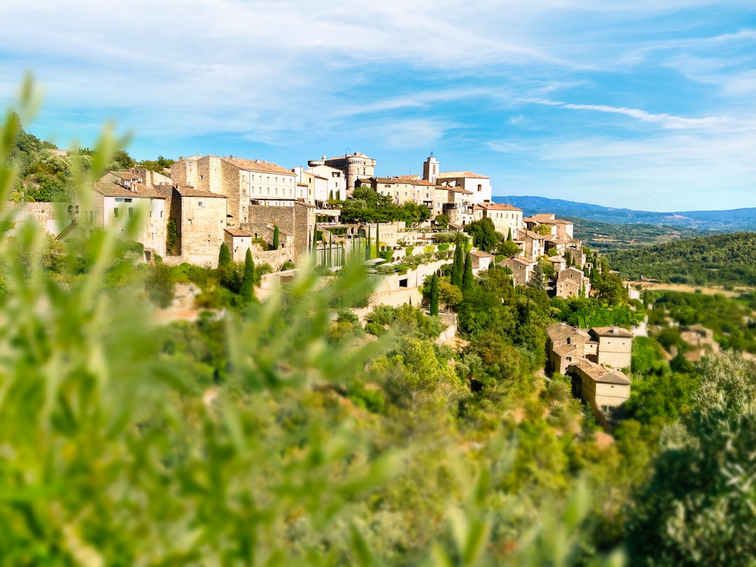 découvrez l'authenticité des herbes de provence, un mélange parfumé d'aromates typiques de la région. parfaites pour relever vos plats, ces herbes apportent une touche méditerranéenne à vos recettes. idéales pour assaisonner viandes, poissons, légumes et sauces, laissez-vous séduire par la richesse des saveurs du sud de la france.