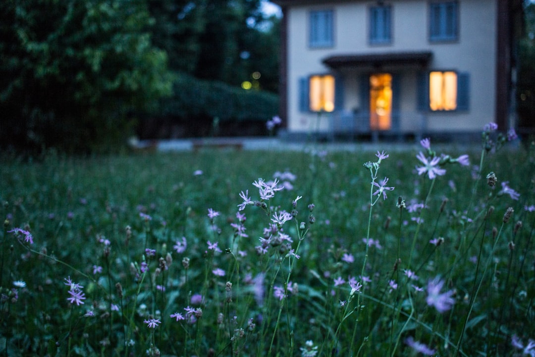 découvrez des astuces pratiques et efficaces pour un nettoyage de maison impeccable. apprenez à organiser vos tâches ménagères, à choisir les bons produits et à optimiser votre temps pour un intérieur sain et accueillant.