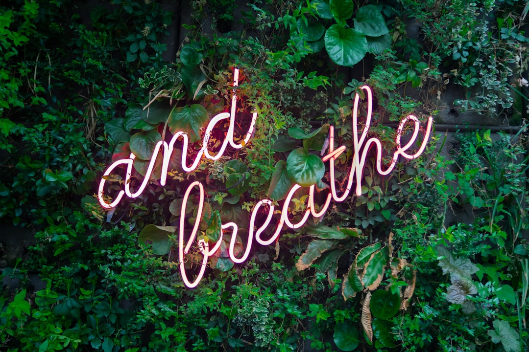 découvrez les bienfaits de l'inhalation pour la santé : amélioration de la respiration, soulagement des symptômes respiratoires et détente. apprenez comment cette méthode naturelle peut vous aider à mieux respirer au quotidien.