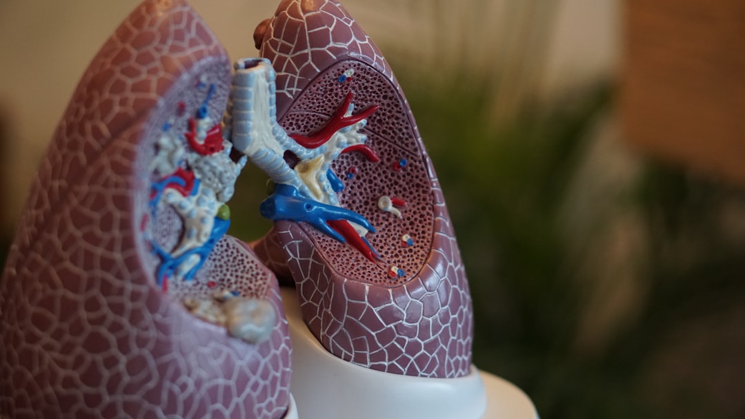 découvrez les bienfaits de l'inhalation pour améliorer votre santé respiratoire, réduire les symptômes d'allergies et favoriser la détente. apprenez comment cette méthode naturelle peut transformer votre bien-être au quotidien.