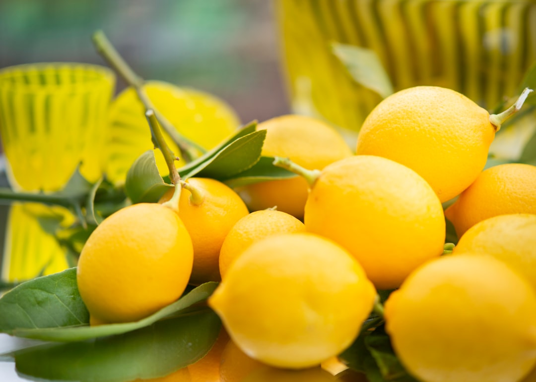découvrez tout sur le citron : ses bienfaits pour la santé, ses utilisations en cuisine, et des recettes savoureuses à base de ce fruit acidulé et rafraîchissant.