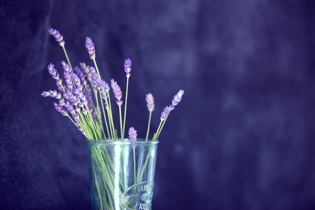 découvrez les bienfaits des herbes médicinales pour votre santé. apprenez à les utiliser en remèdes naturels, à renforcer votre immunité et à améliorer votre bien-être général grâce à la sagesse des plantes.