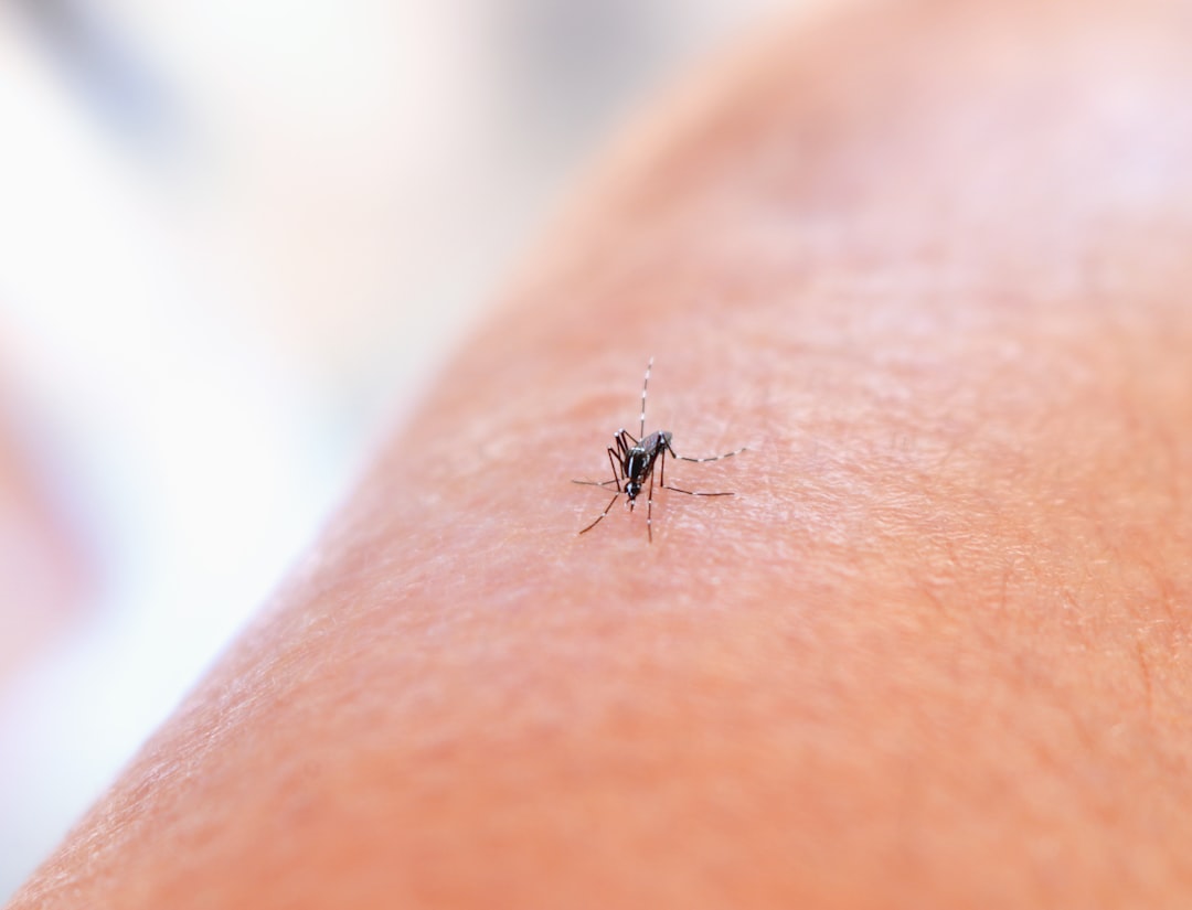 découvrez notre répulsif à moustiques efficace pour profiter de l'extérieur sans être dérangé. formulé pour offrir une protection durable, il convient à toute la famille et garantit un été sans piqûres.