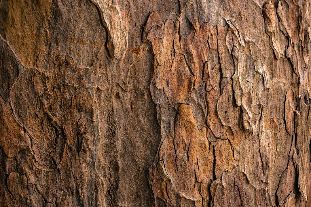 découvrez les bienfaits des antibactériens naturels, efficaces pour protéger votre santé tout en respectant l'environnement. apprenez comment ces solutions révolutionnaires peuvent améliorer votre quotidien.