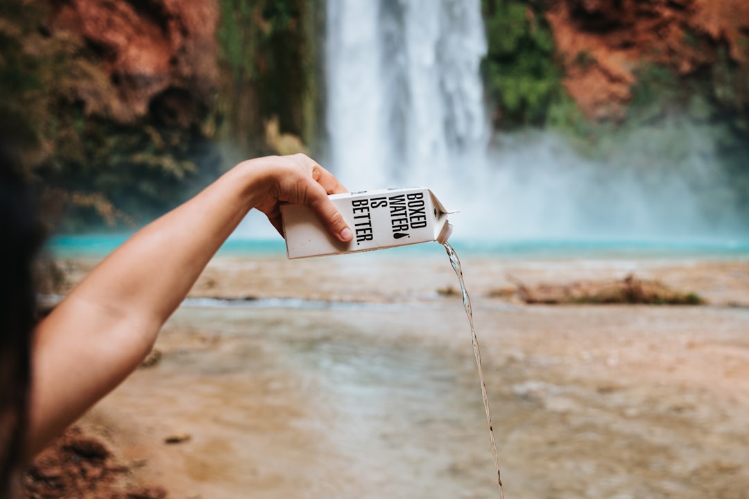 découvrez les bienfaits de la détoxification naturelle avec nos conseils et astuces. apprenez comment purifier votre corps en utilisant des méthodes saines et des ingrédients naturels pour revitaliser votre santé et améliorer votre bien-être.