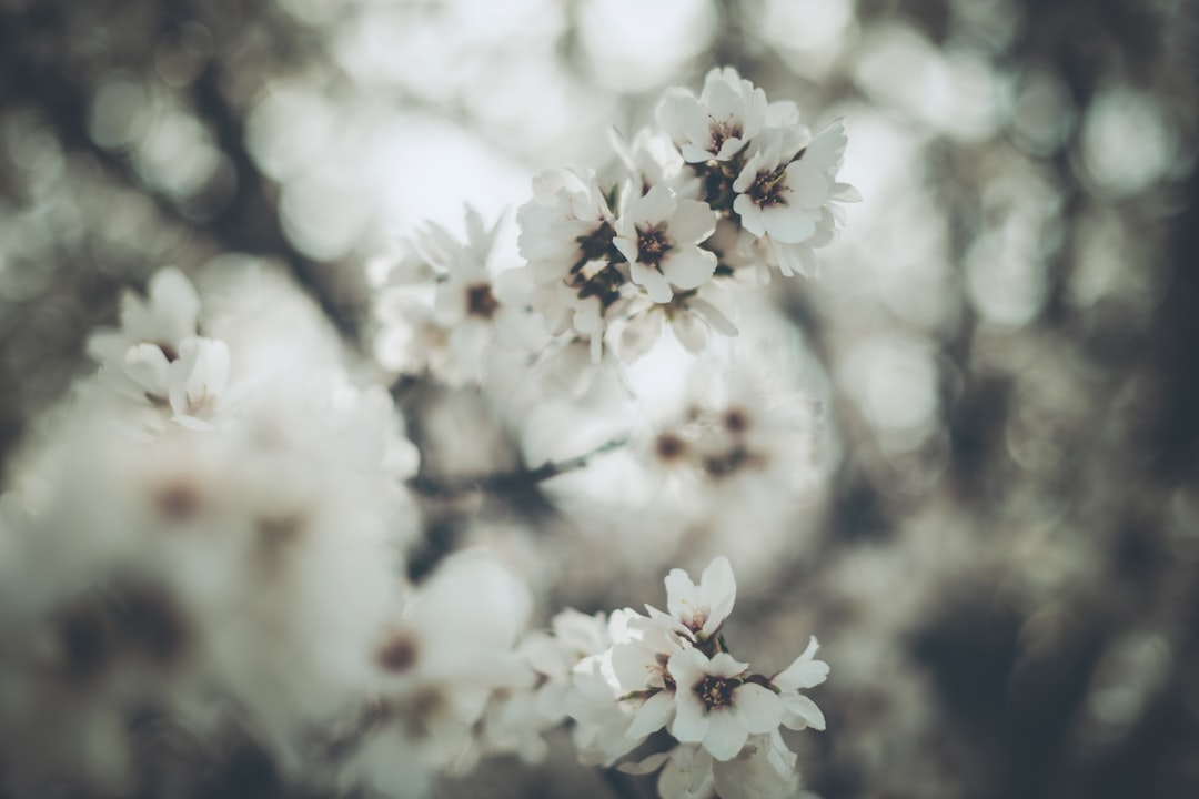découvrez notre désinfectant naturel, une solution écologique et efficace pour assainir votre environnement tout en respectant la planète. parfait pour une hygiène saine sans produits chimiques agressifs.