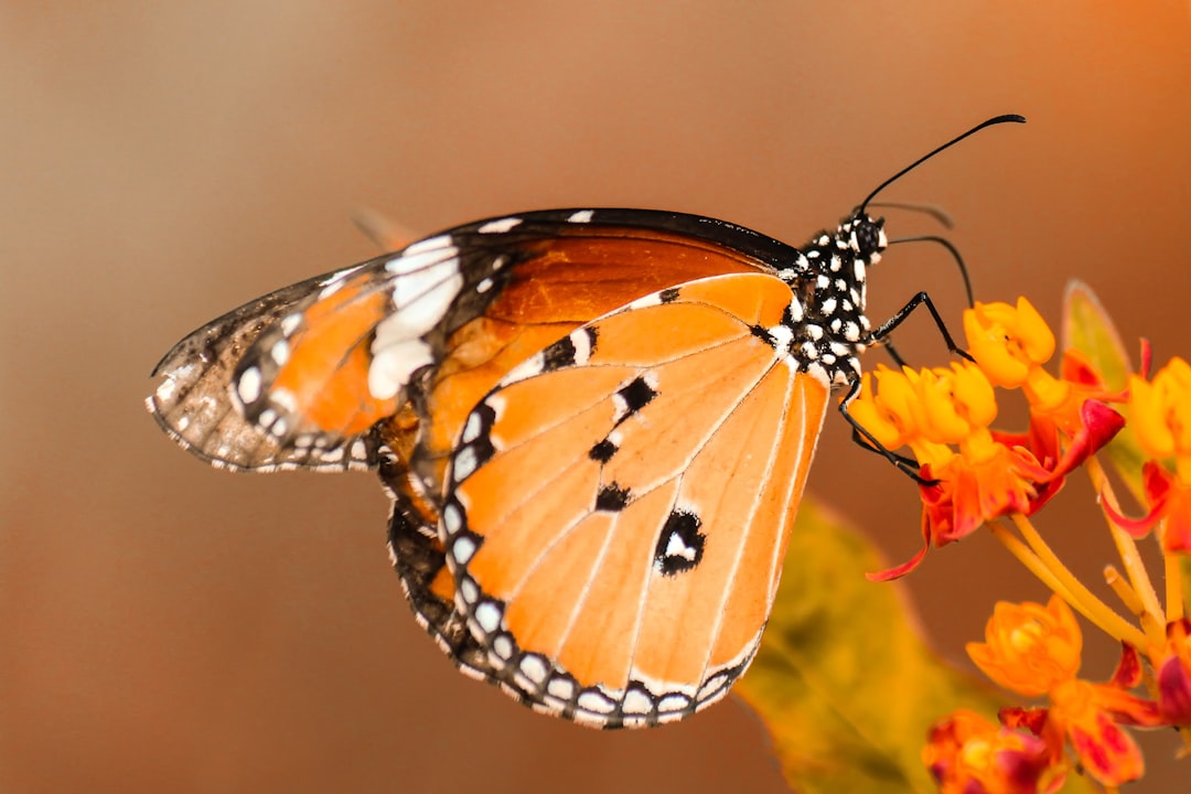 découvrez notre répulsif insectes naturel, une solution efficace et respectueuse de l'environnement pour protéger votre famille des nuisibles tout en profitant de la nature. formulé à base d'ingrédients biologiques, il est idéal pour les activités en plein air.