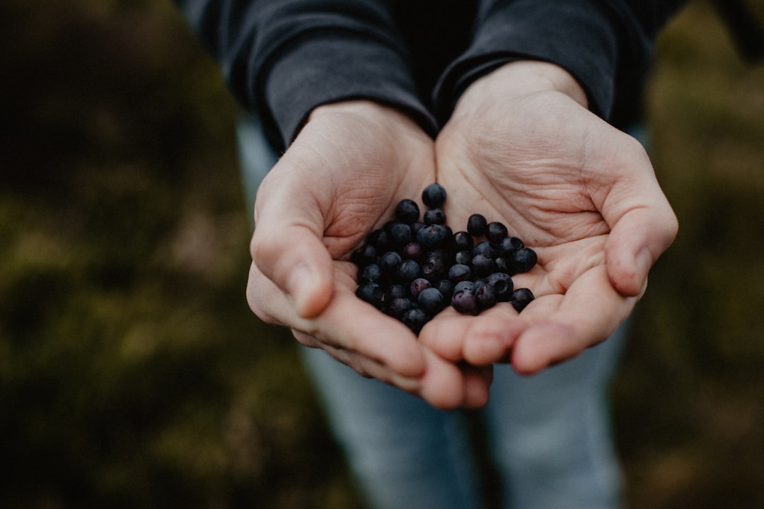 découvrez les bienfaits des remèdes naturels pour améliorer votre santé et votre bien-être. explorez des solutions à base de plantes, de tisanes et de recettes maison pour apaiser les maux courants et renforcer votre immunité.