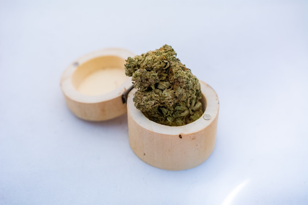 découvrez des remèdes naturels pour améliorer votre santé au quotidien. explorez des solutions douces et efficaces à base de plantes, d'huiles essentielles et d'autres ingrédients naturels pour soulager divers maux et renforcer votre bien-être.