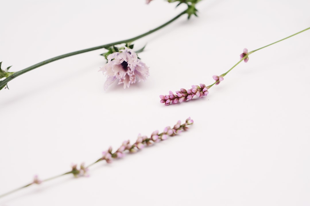 découvrez les bienfaits des soins de la peau naturels. explorez nos produits bio et écoresponsables pour une peau radieuse et saine, respectant votre épiderme et l'environnement.