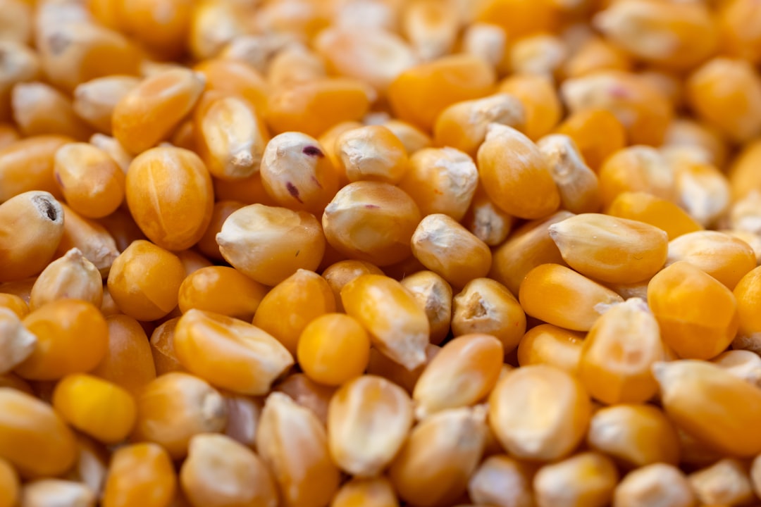 découvrez les bienfaits des vitamines naturelles pour votre santé. améliorez votre bien-être avec des compléments alimentaires issus de la nature, riches en nutriments essentiels. explorez notre sélection de vitamines naturelles pour revitaliser votre corps.
