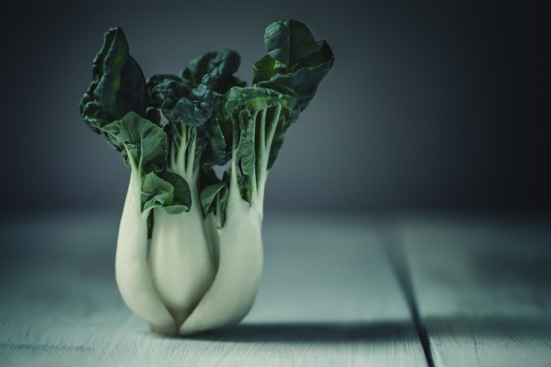 découvrez des recettes organiques savoureuses et saines, qui mettent en avant des ingrédients naturels et respectueux de l'environnement. apprenez à cuisiner de manière durable tout en régalant vos papilles !